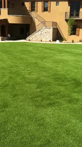 turf_IMG_0613