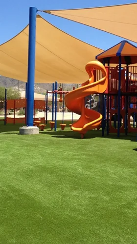 turf_IMG_0684