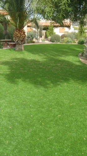 turf_IMG_1092
