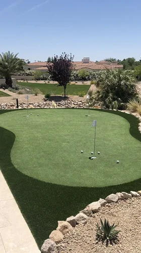 turf_IMG_2863