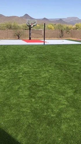 turf_IMG_2886